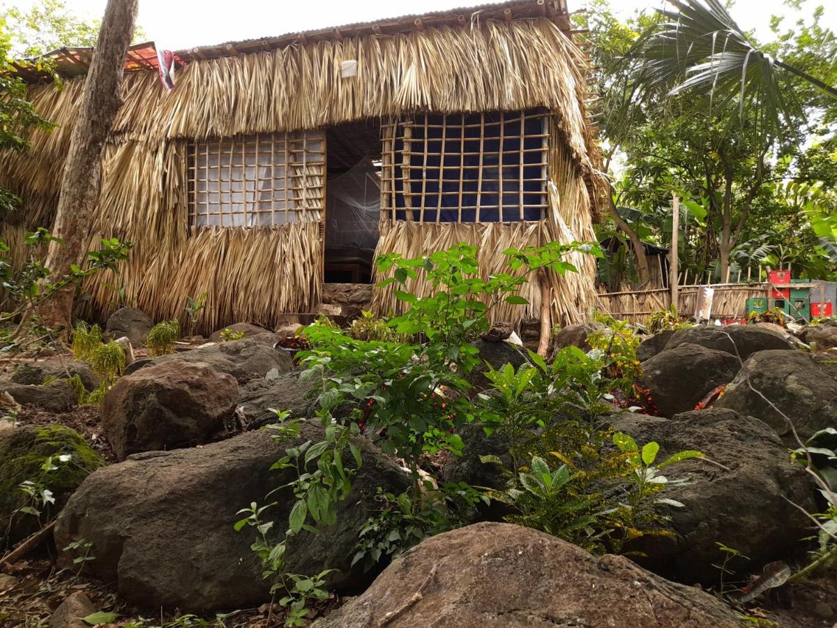 El Bamboo Cabins Balgue エクステリア 写真