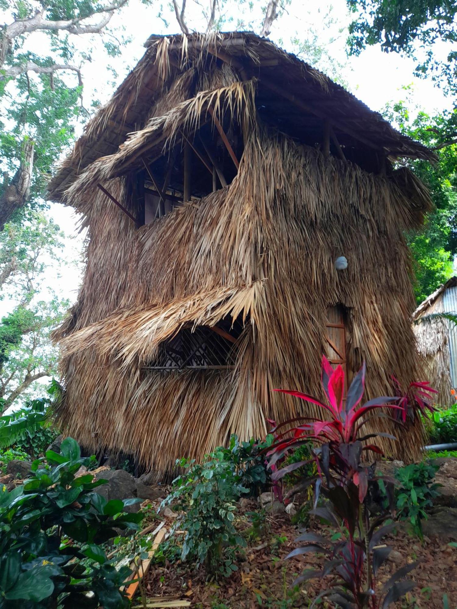 El Bamboo Cabins Balgue エクステリア 写真