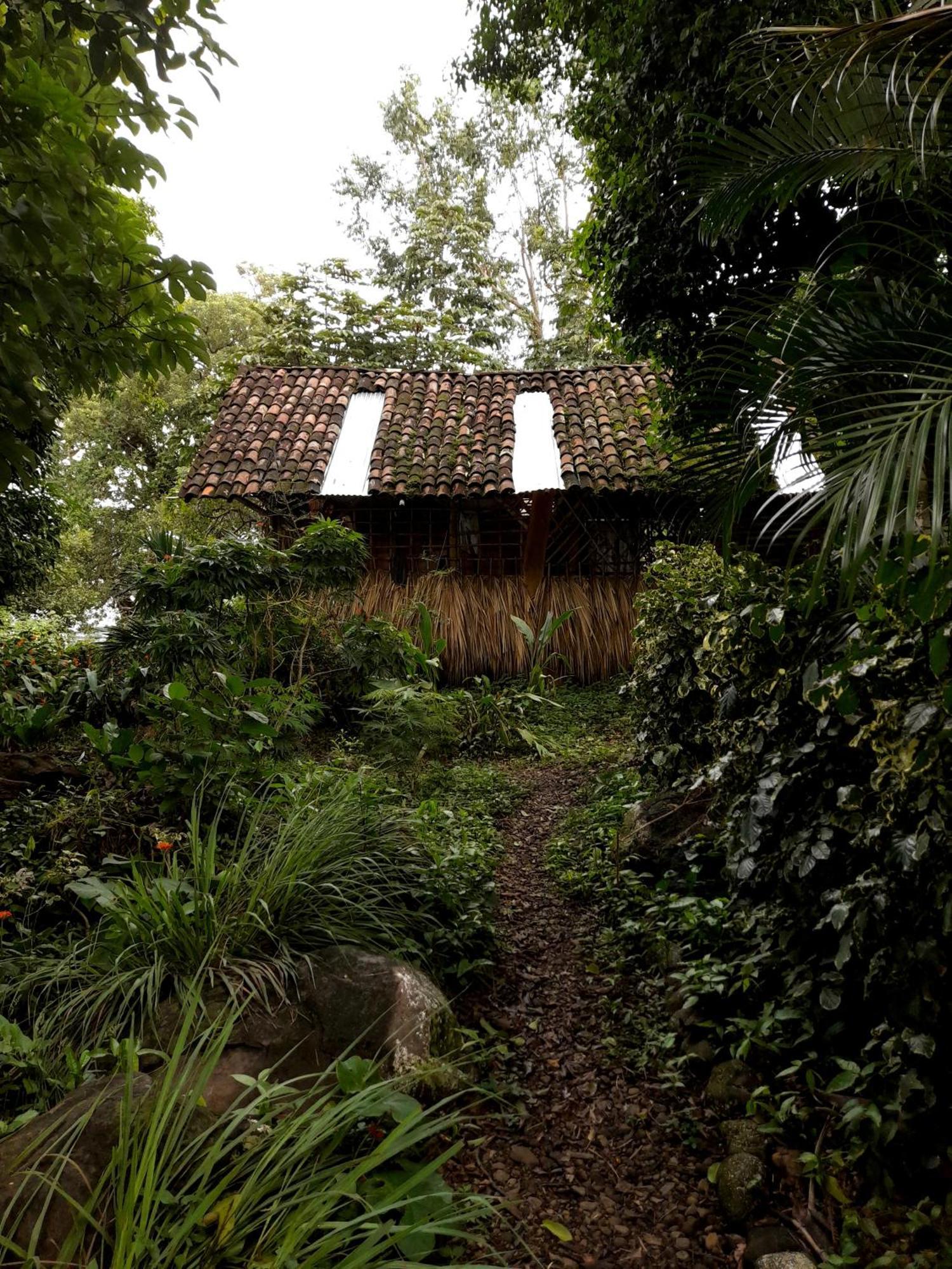 El Bamboo Cabins Balgue エクステリア 写真