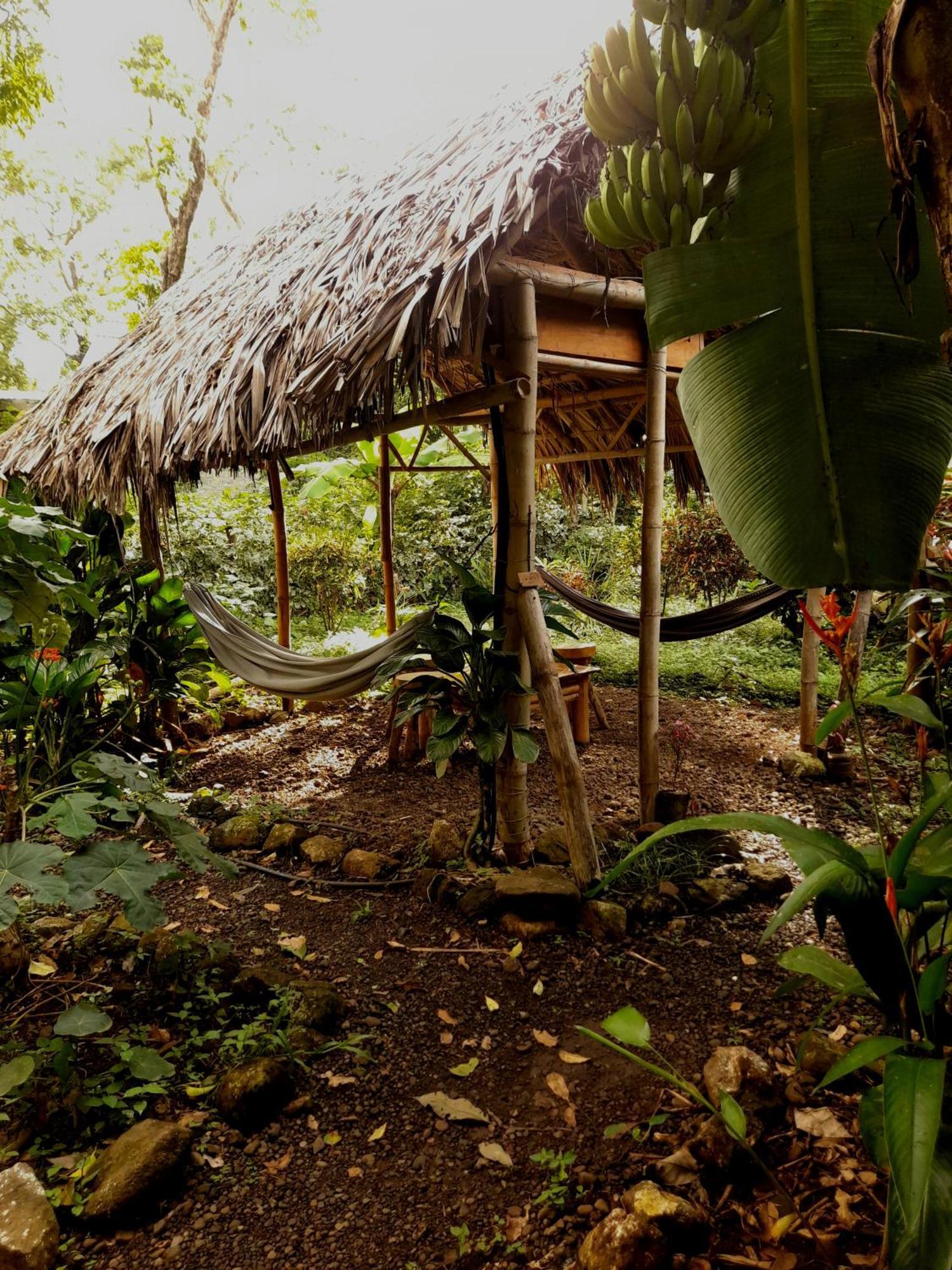 El Bamboo Cabins Balgue エクステリア 写真