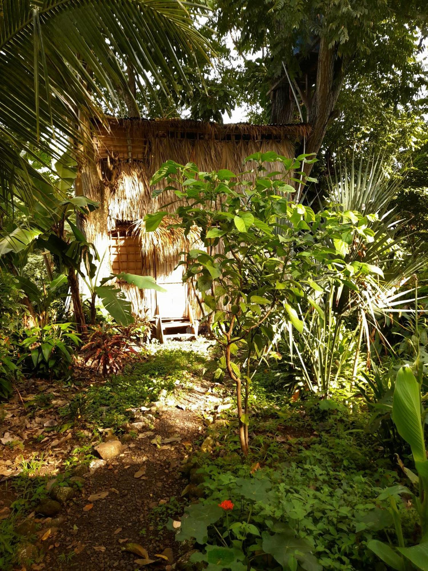 El Bamboo Cabins Balgue エクステリア 写真