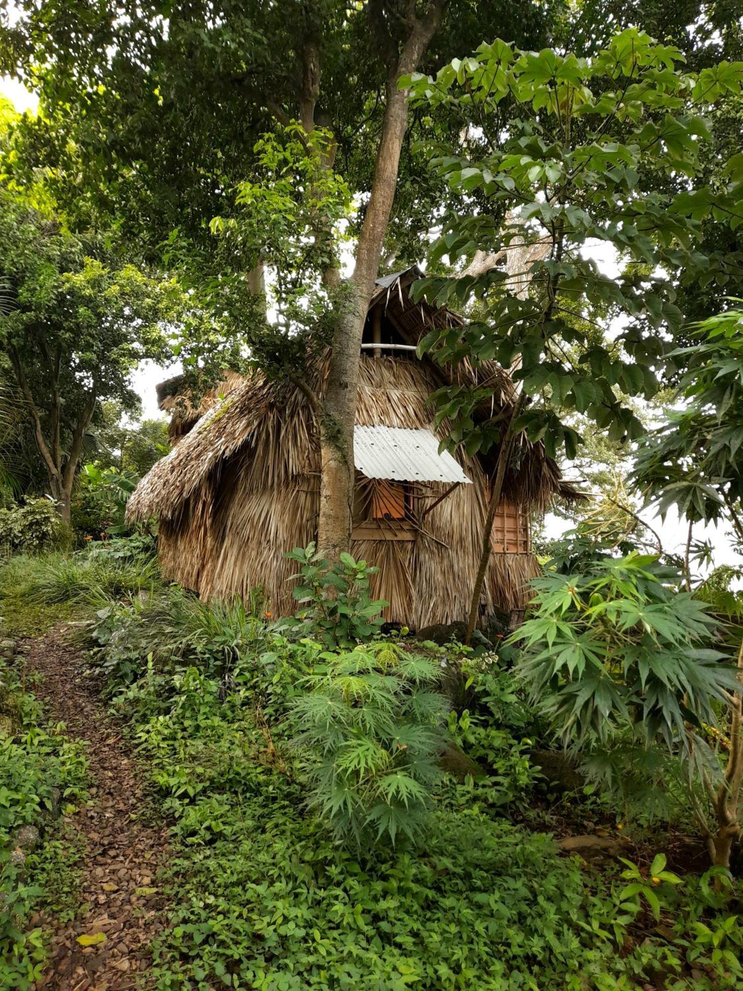 El Bamboo Cabins Balgue エクステリア 写真